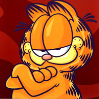 photo d'illustration pour l'article:Chat enfin disponible